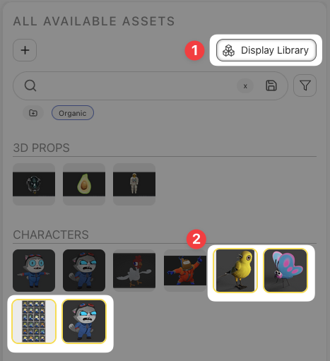 Asset Library Display